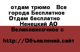 отдам трюмо - Все города Бесплатное » Отдам бесплатно   . Ненецкий АО,Великовисочное с.